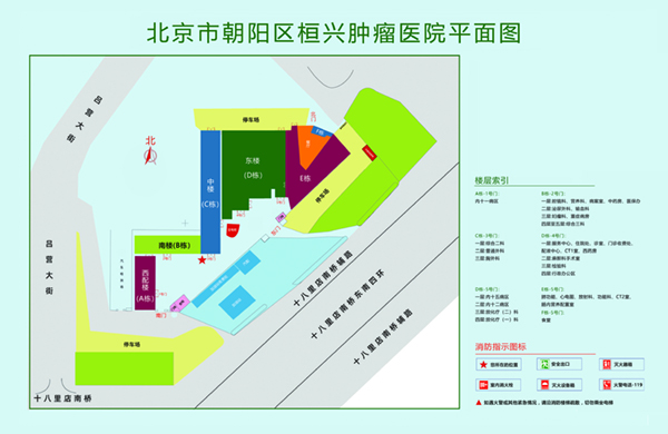 大鸡巴操死我骚逼北京市朝阳区桓兴肿瘤医院平面图